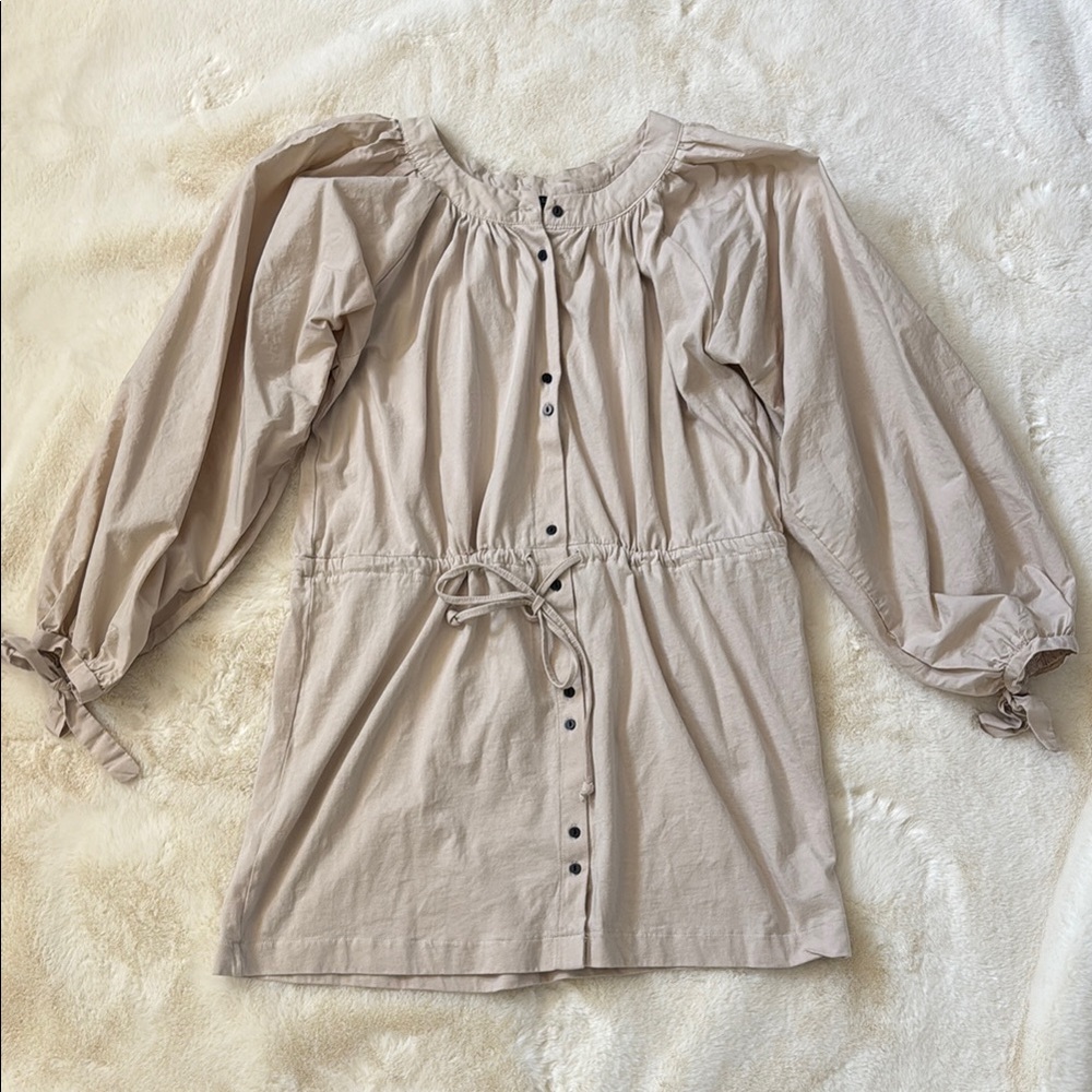 ZARA Button-Up Dress